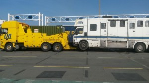 IMG 0160