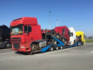 IMG 3084
